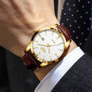 Relógio LIGE LIGE89143 Masculino Quartz Calendário Automático com Vidro de SAFIRA