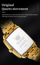 Relógio Masculino OLEVS 2969 Original