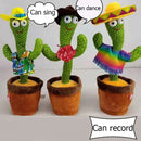 Cacto Dançante Falante ORIGINAL Toca Musical até 120 Músicas
