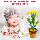 Cacto Dançante Falante ORIGINAL Toca Musical até 120 Músicas