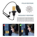 KIT PROFISSIONAL MICROFONE CONDENSADOR BM-800 + ACESSÓRIOS